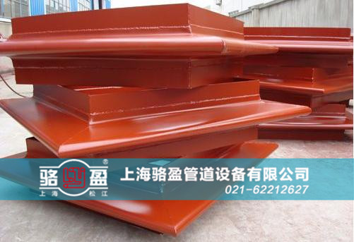 駱盈<a href=http://www.linyuyi.com target=_blank class=infotextkey>補(bǔ)償器</a>近景圖
